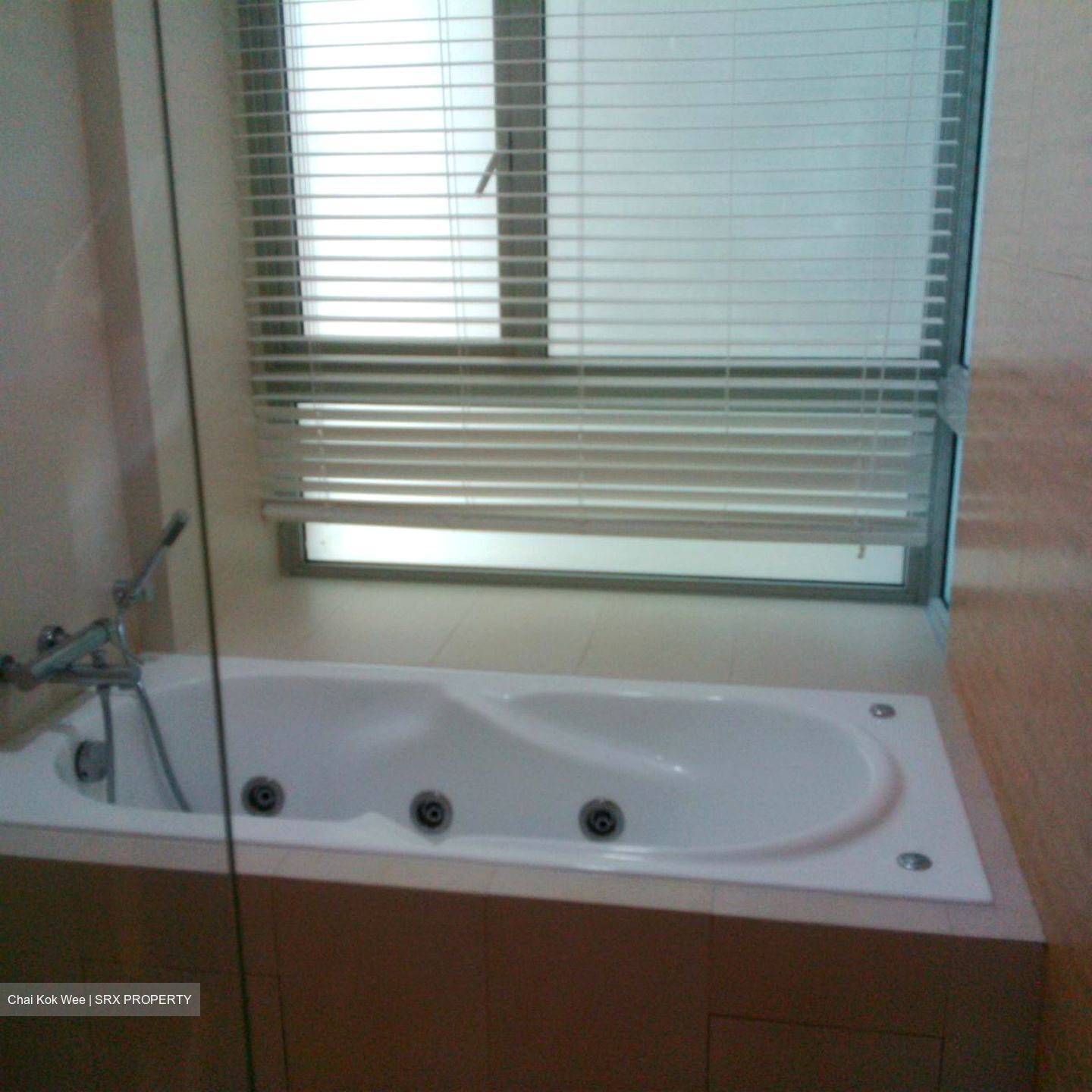 Clover By The Park (D20), Condominium #634643071